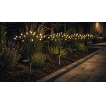 Tuinverlichting op zonne-energie in vuurwerkontwerp met warmwitte led-lampen in een plantenborder naast een bestraat tuinpad.