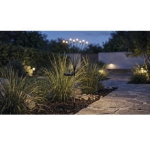 Solar tuinverlichting met meerdere LED-lichtpunten op flexibele stelen in een border naast een stenen pad in de schemering.