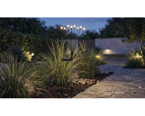 Solar tuinverlichting met meerdere LED-lichtpunten op flexibele stelen in een border naast een stenen pad in de schemering.
