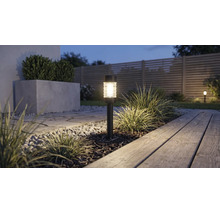 Solar tuinverlichting in een perk met boomschors naast een houten vlonder en een stenen pad in de avond.