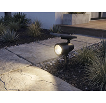 Solar tuinspot met grondpen verlicht een stenen pad en siergrassen in de tuin bij schemering.