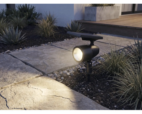 Solar tuinspot met grondpen verlicht een stenen pad en siergrassen in de tuin bij schemering.