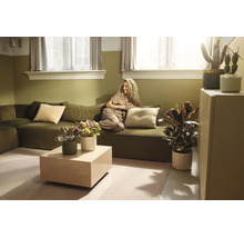 Lichte woonkamer met olijfgroene bank, vrouw met mok, beige salontafel en diverse kamerplanten in een natuurlijke stijl.