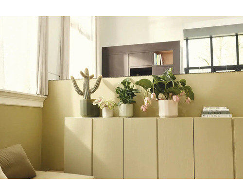 Lichte en georganiseerde woonkamer met diverse kamerplanten in bloempotten op een laag dressoir naast een stapel boeken.