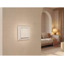 Dubbele wipschakelaar op een lichte muur in een modern ingerichte woonkamer met bank en lamp.