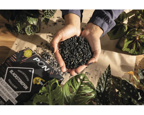 Handen die donker mineraal plantensubstraat vasthouden boven kamerplanten en een verpakking Blackstonepon.