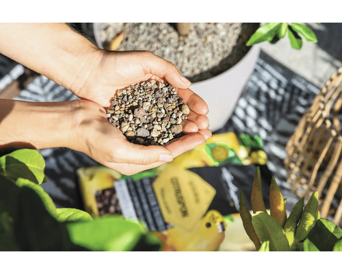 Handen die mineraal citrussubstraat Lechuza Citruspon boven een plantenpot vasthouden.