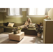 Licht ingerichte woonkamer met groene bank, beige salontafel en diverse kamerplanten in potten.