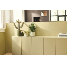 Moderne woonkamer met een laag dressoir en bijpassende muurverf, gedecoreerd met kamerplanten waaronder een cactus.