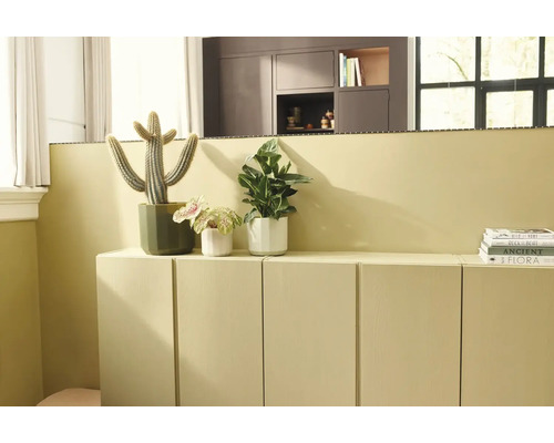 Moderne woonkamer met een laag dressoir en bijpassende muurverf, gedecoreerd met kamerplanten waaronder een cactus.