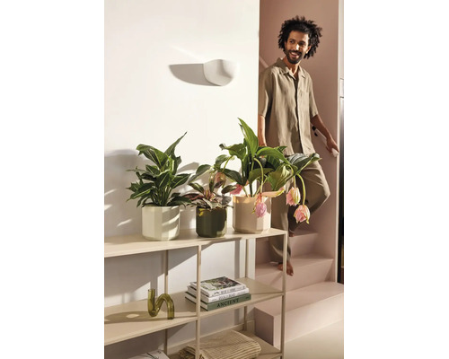 Drie verschillende kamerplanten in decoratieve bloempotten op een metalen stellingkast naast een trap in een lichte woonkamer.