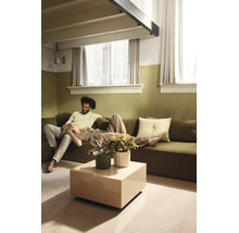 Woonkamer met olijfgroene muurverf en bijpassende bank, vierkante beige salontafel met kamerplanten en lichte gordijnen.