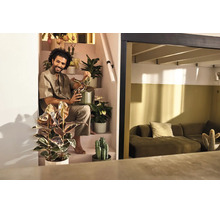 Een man zit op een trap omringd door diverse kamerplanten zoals een Ficus en cactussen in een moderne, lichte woonruimte.