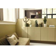 Verschillende cactussen in geometrische potten op een dressoir in een lichte, modern ingerichte woonkamer met bank.