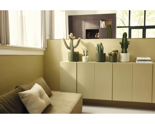 Verschillende cactussen in geometrische potten op een dressoir in een lichte, modern ingerichte woonkamer met bank.