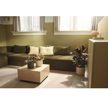Moderne woonkamer met een groene bank, beige salontafel, verschillende kamerplanten en tweekleurige muren in olijfgroen en wit.