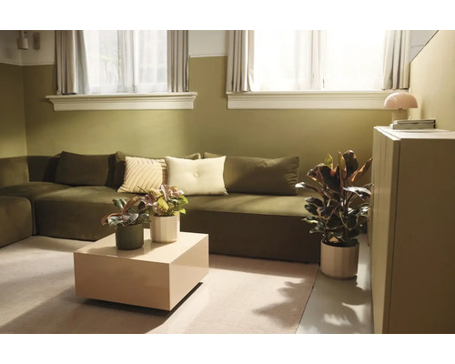 Moderne woonkamer met een groene bank, beige salontafel, verschillende kamerplanten en tweekleurige muren in olijfgroen en wit.