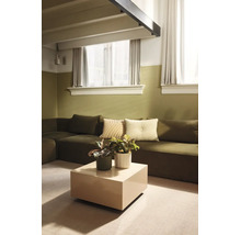 Moderne woonkamer met tweekleurige muren, een grote hoekbank, een vierkante bijzetafel en decoratieve kamerplanten.