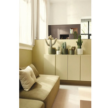 Lichte, georganiseerde woonkamer met diverse cactussen in potten op een dressoir naast een bank. Modern design met licht textiel.