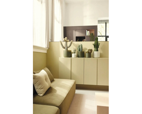 Lichte, georganiseerde woonkamer met diverse cactussen in potten op een dressoir naast een bank. Modern design met licht textiel.
