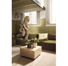 Moderne woonkamer met groene muren, modulaire bank, vierkante salontafel en kamerplanten. Een vrouw springt op de bank.