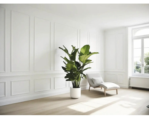 Deurlijst architraaf grenen gegrond (l x b x d) 2700 x 57 x 15 mm Deurlijst architraaf grenen gegrond (l x b x d) 2700 x 57 x 15 mm