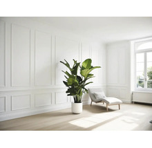 Lichte kamer met wandpanelen, een grote kamerplant in een witte pot en een witte relaxfauteuil op een lichte houten vloer.