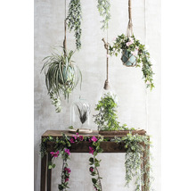 Decoratieve kunstmatige hangplanten, terraria en bloemranken op een houten sidetable.