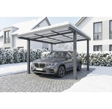 Moderne aluminium carport met een SUV eronder in een besneeuwd winterlandschap.