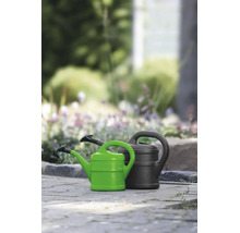Groene en zwarte kunststof gieters met sproeikop op een bestraat tuinpad voor een beplante achtergrond.