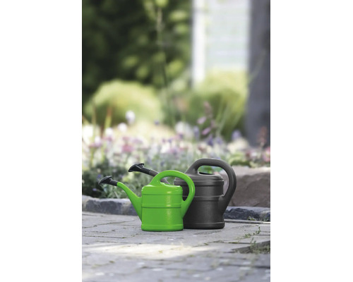 Twee kunststof gieters, een kleine groene en een grotere zwarte, staan op een geplaveid oppervlak in een lichte tuin.
