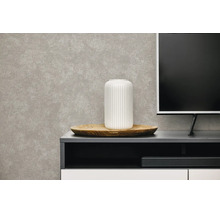 Vliesbehang in grijze betonlook achter een dressoir met een witte vaas op een houten dienblad en een televisie.