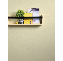 Gestructureerde wandafwerking met pleistereffect en een gemonteerde houten wandplank met plant en decoratie.
