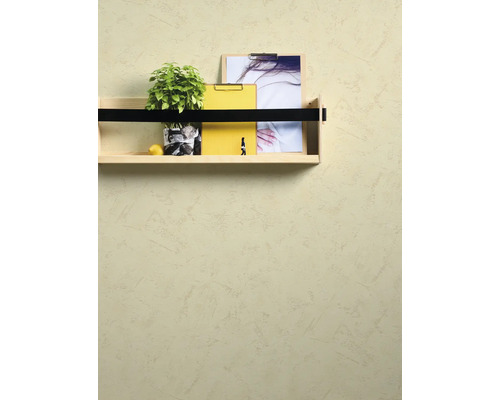 Gestructureerde wandafwerking met pleistereffect en een gemonteerde houten wandplank met plant en decoratie.