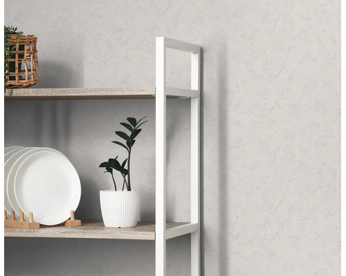 Gestructureerde wand met modern rek van hout en metaal, gedecoreerd met borden en een plant.