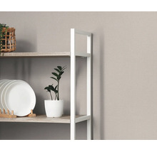 Houten rek met wit metalen frame, gedecoreerd met witte borden en een kamerplant.