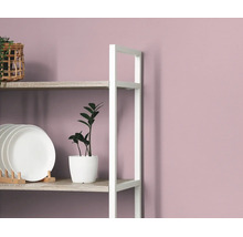 Open kast met houten planken en wit metalen frame voor een paarse muur, gedecoreerd met borden en een kamerplant.