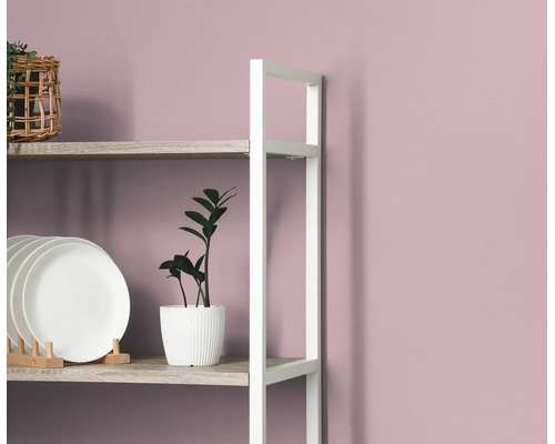 Open kast met houten planken en wit metalen frame voor een paarse muur, gedecoreerd met borden en een kamerplant.