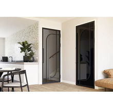 Modern interieur met twee glazen deuren in zwarte metalen frames met een gebogen ontwerp, één transparant en één donker.