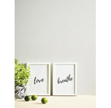 Gestructureerd vliesbehang met pleistereffect op een wand met twee fotolijstjes en een plant.
