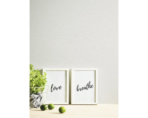 Gestructureerd vliesbehang met pleistereffect op een wand met twee fotolijstjes en een plant.