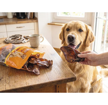 Golden Retriever krijgt een snack van runderoren in een lichte keuken met een geopende zak hondensnacks op een houten tafel.