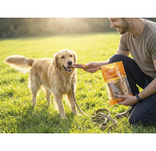 Een man voert een Golden Retriever op een grasveld een hondensnack uit een verpakking van Mr. Beef Snack.