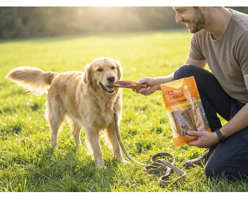 Een man voert een Golden Retriever op een grasveld een hondensnack uit een verpakking van Mr. Beef Snack.