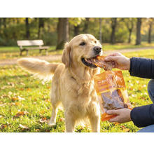 Een Golden Retriever krijgt in een licht park een Mr. Beef Snack gevoerd.