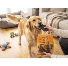 Een Golden Retriever krijgt een gedroogde vleessnack uit een zak Mr. Beef Snack in een woonkamer.