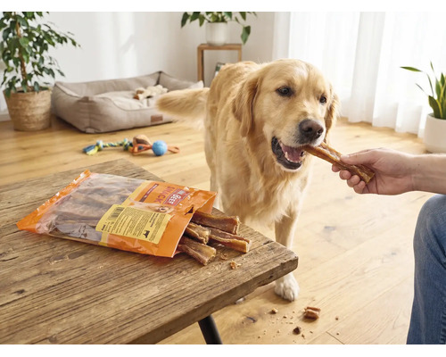 Een Golden Retriever in een lichte woonkamer krijgt een Mr. Beef snack uit de hand. De verpakking ligt op een houten tafel.