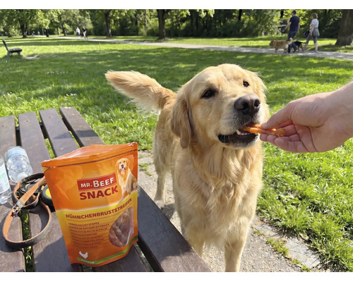 "Een Golden Retriever krijgt Mr. Beef Snack kipfiletstrips in een park