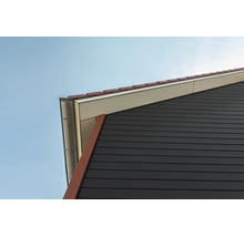 Huisgevel met horizontale gevelbekleding, metalen dakgoot, dakpannen en wit overstek.