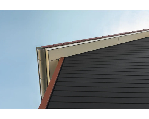 Huisgevel met horizontale gevelbekleding, metalen dakgoot, dakpannen en wit overstek.